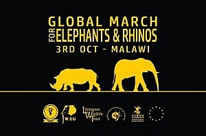 Global March for Elephants and Rhinos