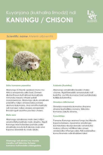 LWT.Coexistence.Hedgehogs.A4.print.v11