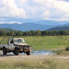 REFLECTING ON A YEAR OF BIODIVERSITY MONITORING IN LIWONDE