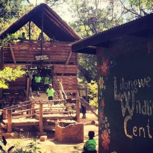 lilongwe wildlife centre playground